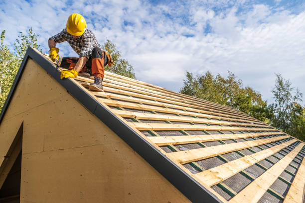 Best Roof Gutter Cleaning  in Fulton, NY